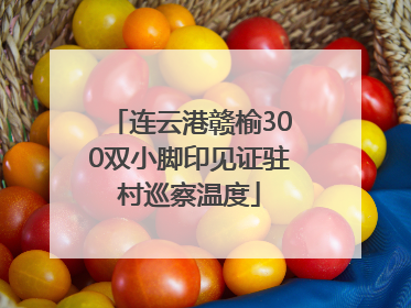 连云港赣榆300双小脚印见证驻村巡察温度